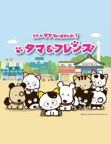 https://cdn.myanimelist.net/images/anime/8/82187.jpg
